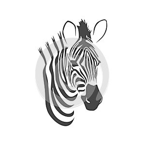 Zebra icon - vector Illustration