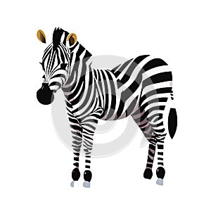 Zebra. Illustration. Zebra in natural grass habitat, Kenya National Park. Nature wildlife scene, Africa.