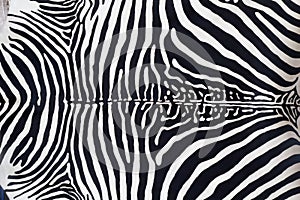 Zebra leather skin texture painted