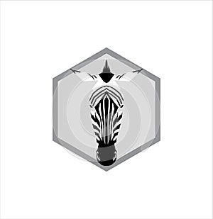 Zebra logo in polygon style photo