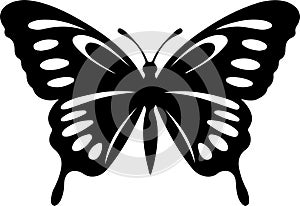 zebra longwing butterfly Black Silhouette Generative Ai