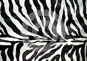 Zebra pattern img