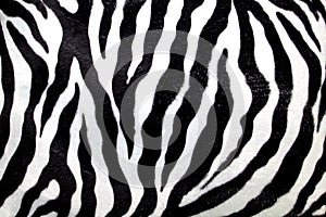 Zebra pattern