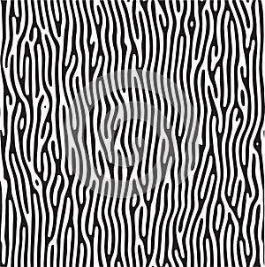 Zebra pattern