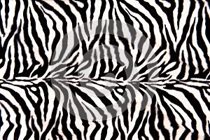 Zebra Pattern