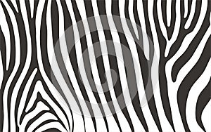 Zebra pattern