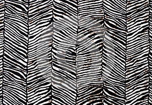 Zebra pattern img