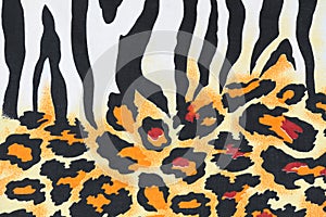 Zebra pattern animal wild cat leopard