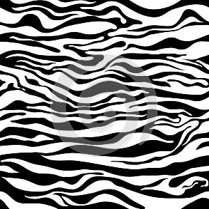 Zebra pattern as a background, vector illustration with seamless texture of its skin