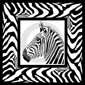 Zebra pattern frame photo