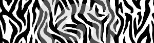 Zebra pattern, stylish stripes texture. Animal natural print for wallpaper, textile, cover. Vector