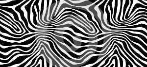 Zebra pattern texture repeating seamless monochrome. Vector. Texture zebra. Fashionable print. Fashion and stylish background.