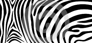 Zebra pattern texture repeating. Simple pattern, black line for textile design fabric.