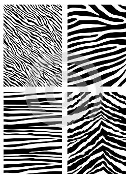 Zebra pattern vector