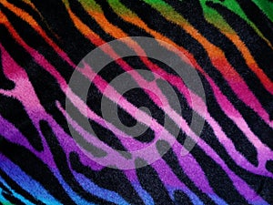 Zebra Patterned Background