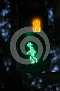 Zebra pedestrian crossing light