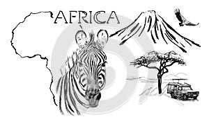 Zebra portrait on Africa map background with Kilimanjaro mountain, vulture and car