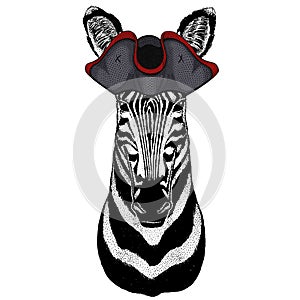 Zebra portrait. Head of wild animal. Cocked hat.