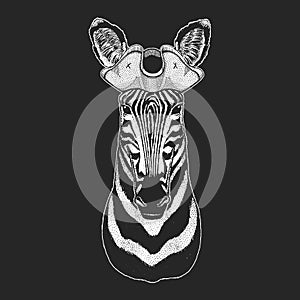 Zebra portrait. Pirate cocked hat. Sailor. Head of wild animal.