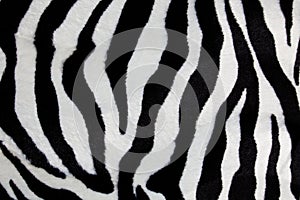 Zebra print img