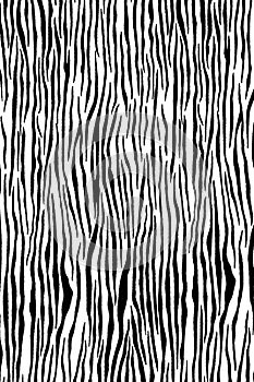 Zebra print cloth