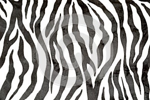 Zebra print on knitted, mass-produced synthetic fabric. Use for upholstery of upholstered furniture. Abstract animal skin pattern