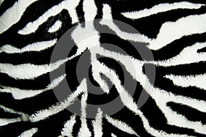 Zebra print pattern fur background wallpaper