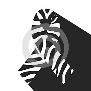 Zebra-print ribbon photo