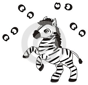 Zebra with prints