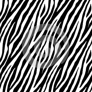 Zebra repeated seamless pattern