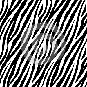 Zebra repeated seamless pattern photo
