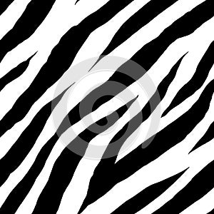 Zebra seamless pattern