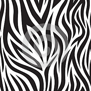 Zebra seamless pattern. Black and white tiger stripes. Popular texture. photo