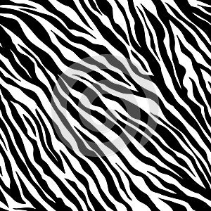 Zebra seamless pattern. Black and white zebra stripes. Vector zoo fabric animal skin material