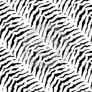 Zebra seamless pattern. Tiger print. Repeating animal skin texture. Black stripe jungle isolated on white background. Repeated