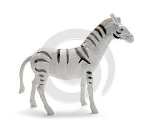 Zebra Side View