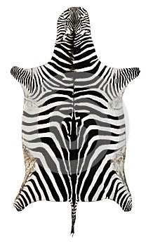 Zebra skin