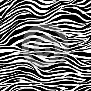 Zebra skin photo
