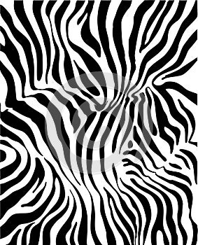 Zebra skin