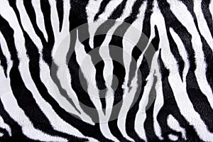 Zebra skin pattern