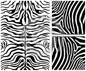 Zebra skin set photo