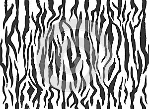 Zebra skin, stripes grunge pattern. Animal print. Black and white background. Vector texture.