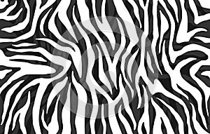 Zebra skin, stripes pattern. Animal print, black and white detailed and realistic texture. photo