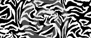 Zebra print. Stripes, animal skin, tiger stripes, abstract pattern, line background. Black and white vector