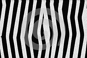 Zebra skin texture