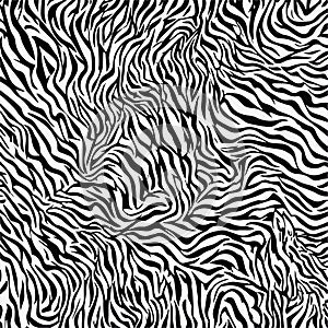 Zebra Skin Vector Abstract Pattern Background, Stylish Wildlife Design for Prints, Textiles, Decorative, Animals Skin Pattern