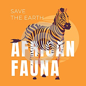 A zebra stands on an orange background. African wildlife poster.