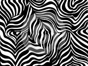 Zebra stripe background
