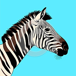 Zebra, striped horse, African savannah animal, cartoon vector