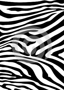 Zebra striped lines fur skin print background and texture seamless pattern for textile, flat line vector and illustration.